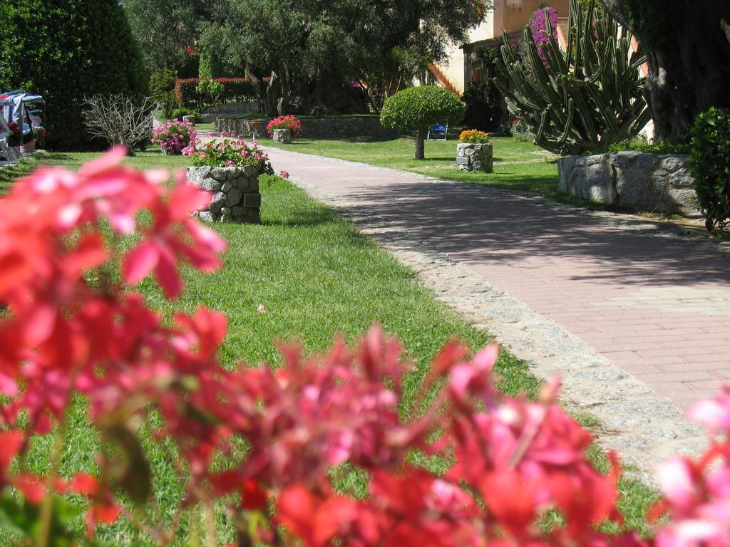 Villaggio L'Olivara Tropea Eksteriør billede